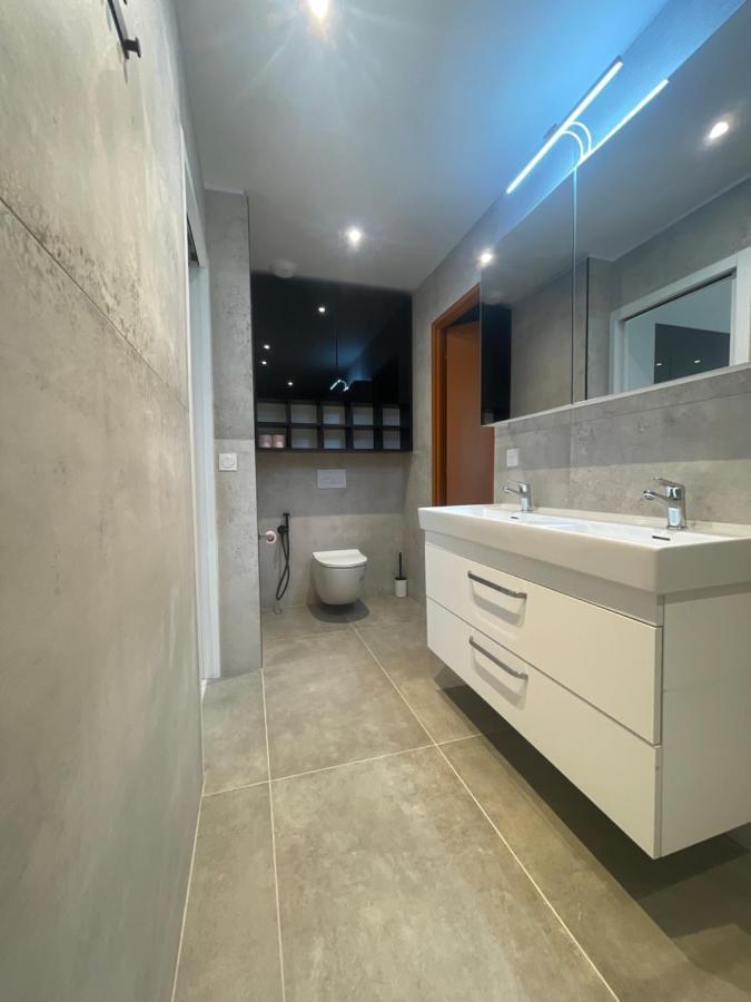 Chez Flo Apartman Grenoble Kültér fotó