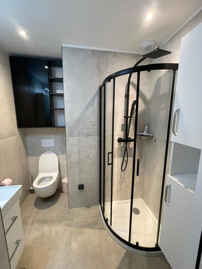Chez Flo Apartman Grenoble Kültér fotó